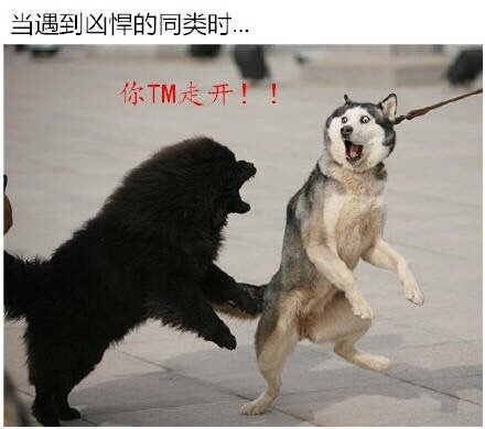 员工辞职理由怎么写,员工辞职申请需求审批吗