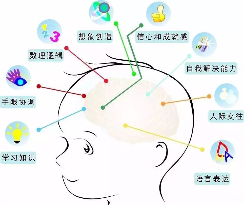 左撇子有危害吗,家长勿迷信