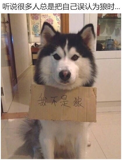 员工辞职理由怎么写,员工辞职申请需求审批吗