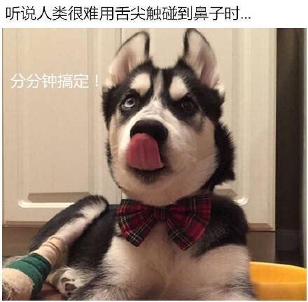 员工辞职理由怎么写,员工辞职申请需求审批吗