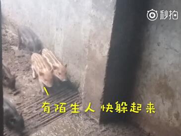 员工辞职理由怎么写,员工辞职申请需求审批吗