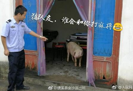 员工辞职理由怎么写,员工辞职申请需求审批吗