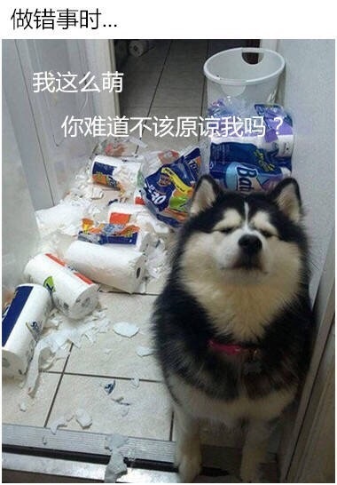 员工辞职理由怎么写,员工辞职申请需求审批吗