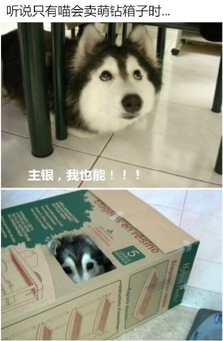 员工辞职理由怎么写,员工辞职申请需求审批吗