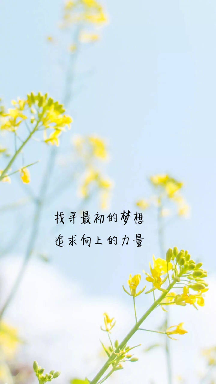 致敬每一个北漂的普通人,怀念那些年北漂的我们