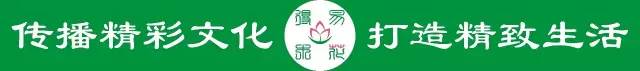 金线莲的养殖方法和注意事项,金线莲栽培时的生态环境条件