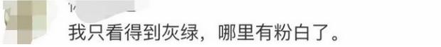 你看到的是灰绿还是粉白,你看到的是绿灰还是粉白