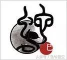 十二生肖富贵命有哪几个生肖,12生肖各有各的命看看你是什么命