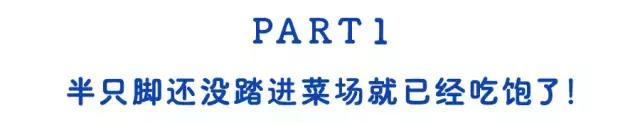 浦东人气最旺的菜市场,浦东最大菜市场排名