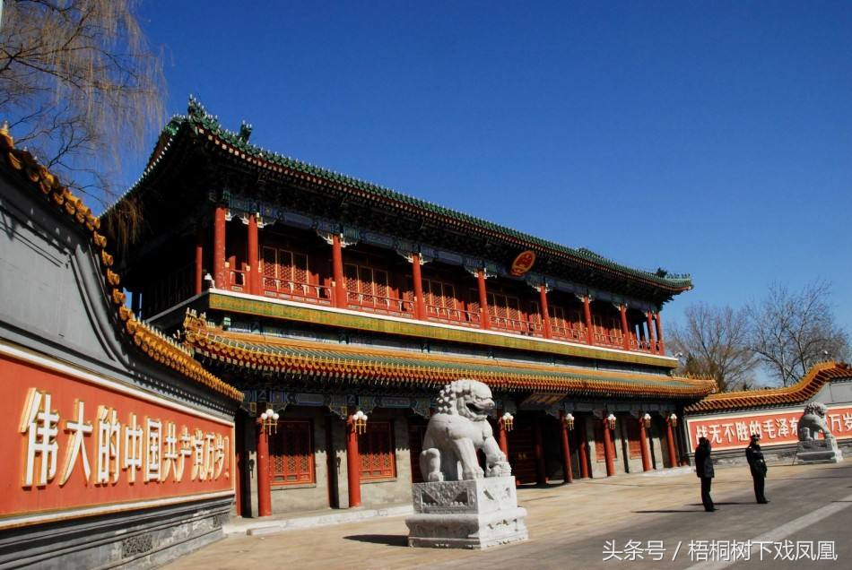 墓摆石狮子与家摆区分,石狮摆放门口惹众怒