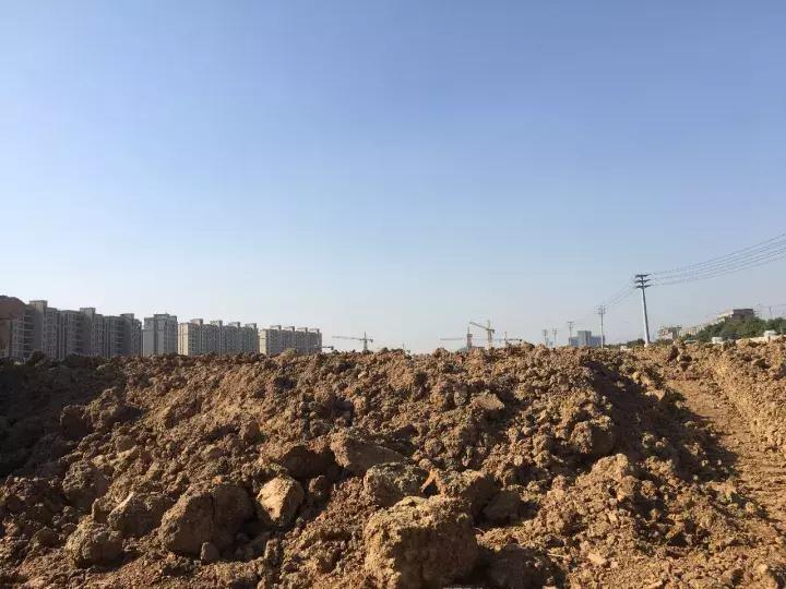 房价比地价还低！12500元/㎡的禄口限价盘今天被投资客团团包围