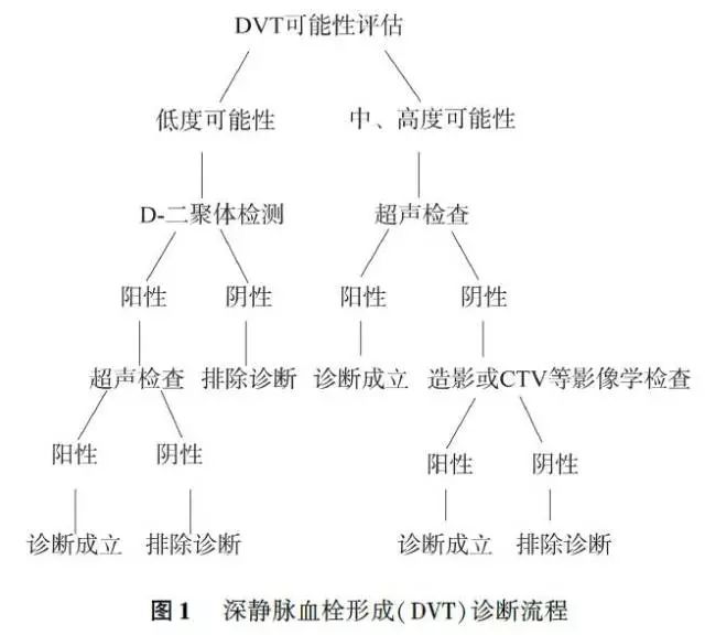深静脉血栓的预防措施及整改措施,深静脉血栓的预防和治疗护理课件