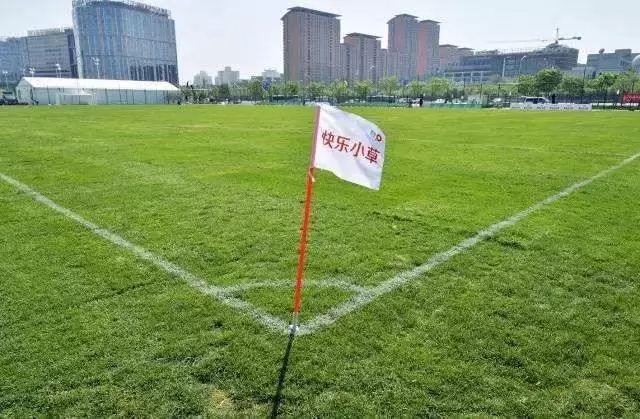 胜利联盟多地院校停课、负责人消失，火热体育培训迎来严峻挑战