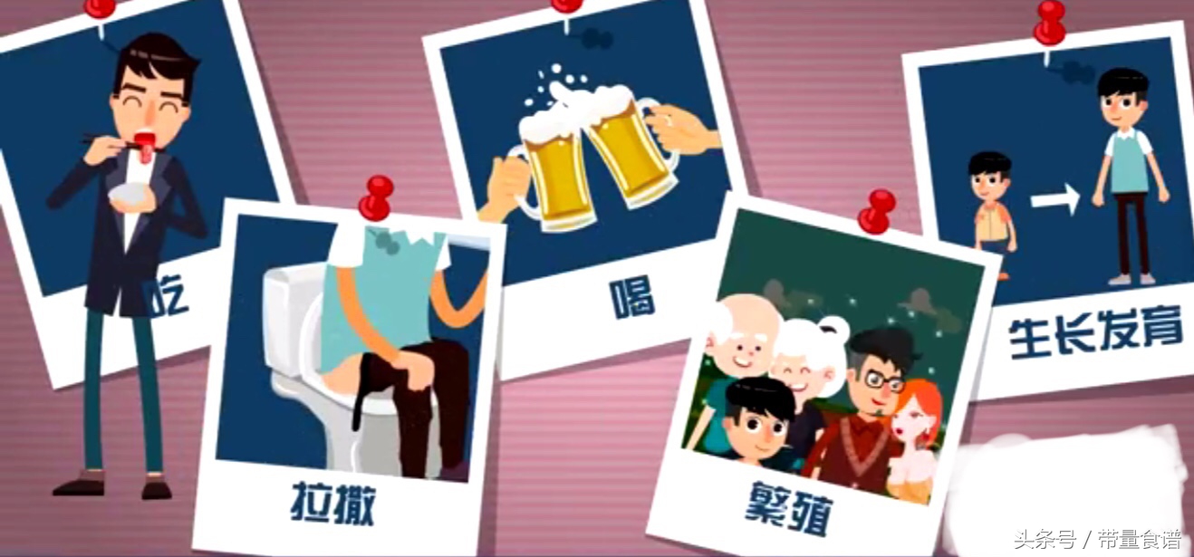 大三阳小三阳报告单对照图片,得乙肝是先得大三阳还是小三阳