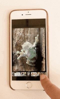 别说没告知你：11个小功能，让你玩转iPhone6s！
