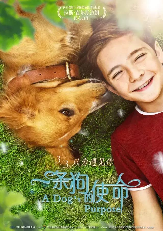 票房黑马电影完整版,2017年电影票房前十排行榜