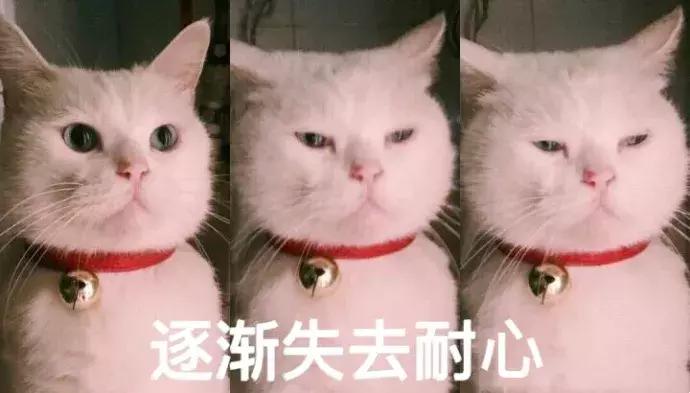 如何策划一场浪漫又有创意的婚礼,如何让你的婚礼创意十足
