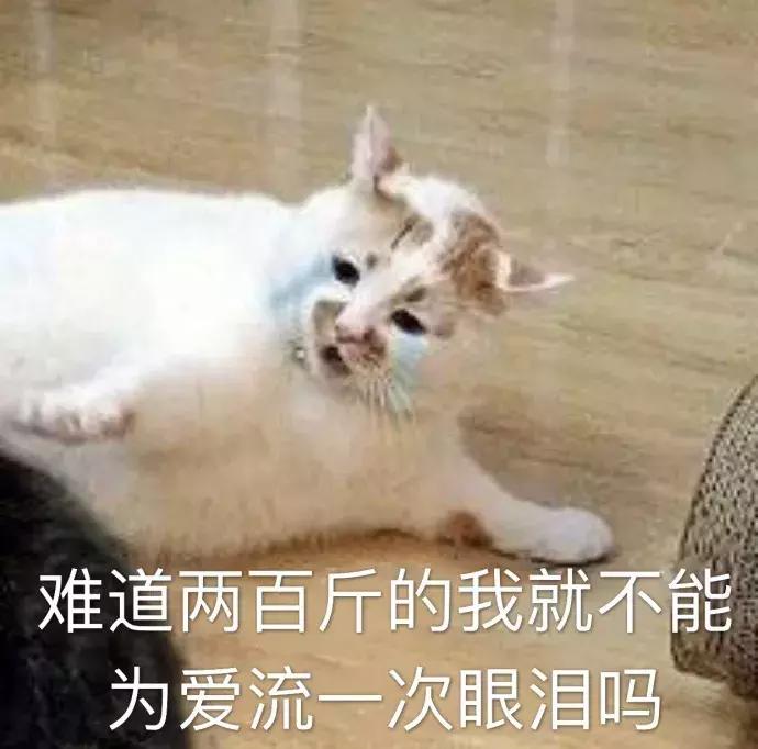 如何策划一场浪漫又有创意的婚礼,如何让你的婚礼创意十足