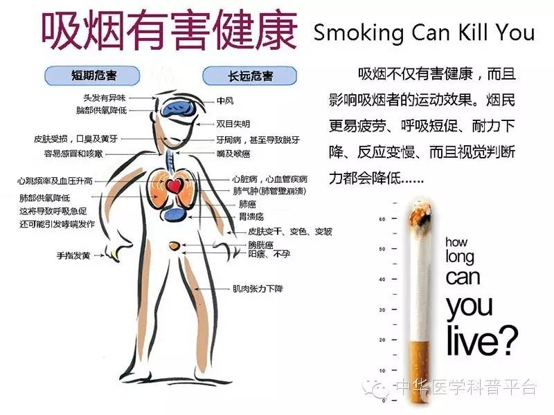 诱发心律失常的常见原因,肾上腺素诱发家兔心律失常
