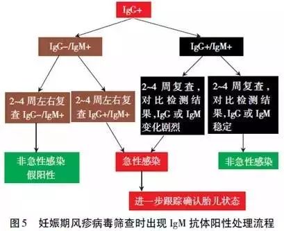孕早期torch是不是必查,孕期32周dic筛查