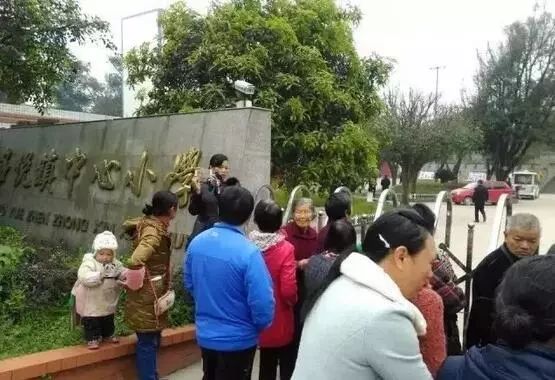 眉山市东坡区公办有哪些小学,眉山市东坡区好的学校