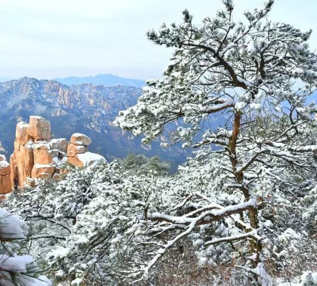 气温狂降至-10℃！青岛人盼的雪又要来了！还连下两天！
