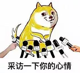 呸！又想骗我钱！