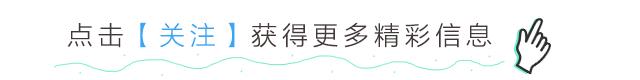 不用种子种的小盆栽简单教程,简单种子盆栽