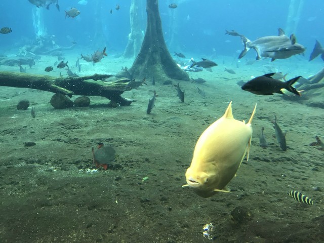两天一晚珠海长隆旅游攻略,珠海长隆旅行一日游需求准备什么