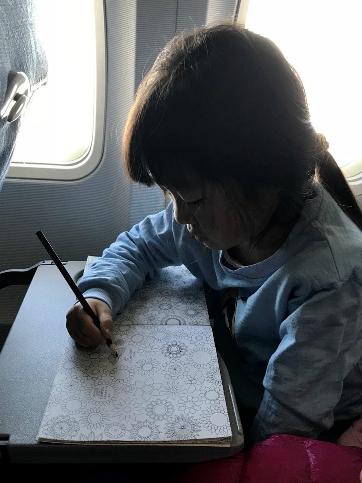两天一晚珠海长隆旅游攻略,珠海长隆旅行一日游需求准备什么