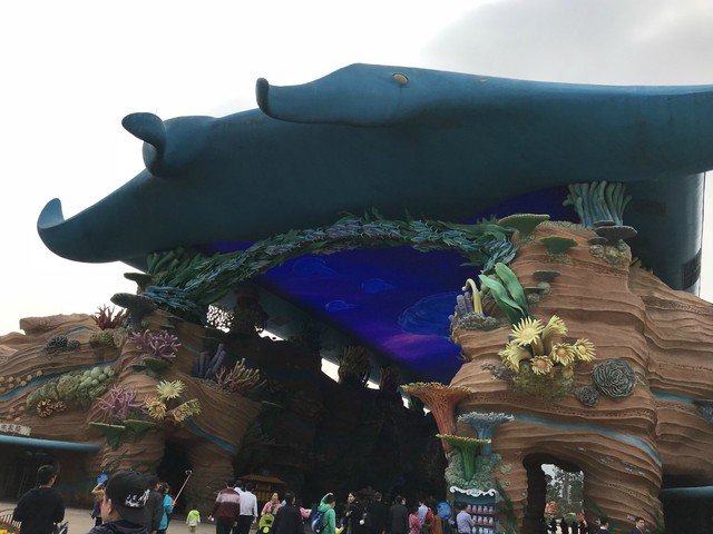 两天一晚珠海长隆旅游攻略,珠海长隆旅行一日游需求准备什么