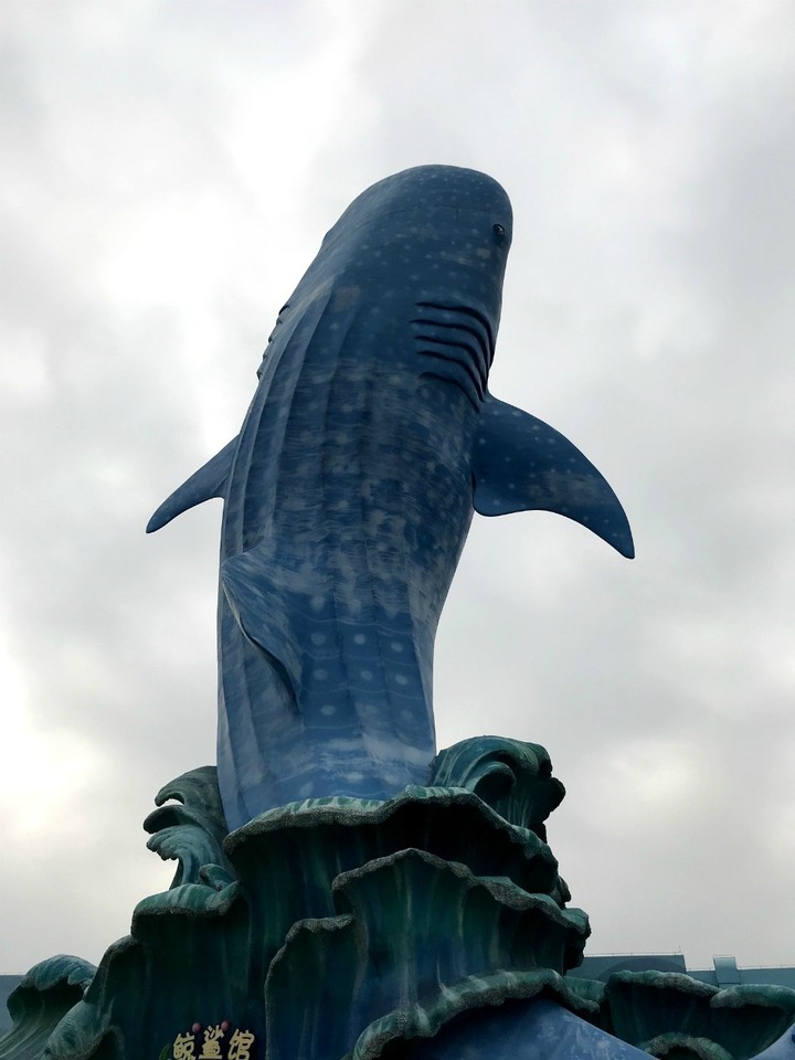 两天一晚珠海长隆旅游攻略,珠海长隆旅行一日游需求准备什么