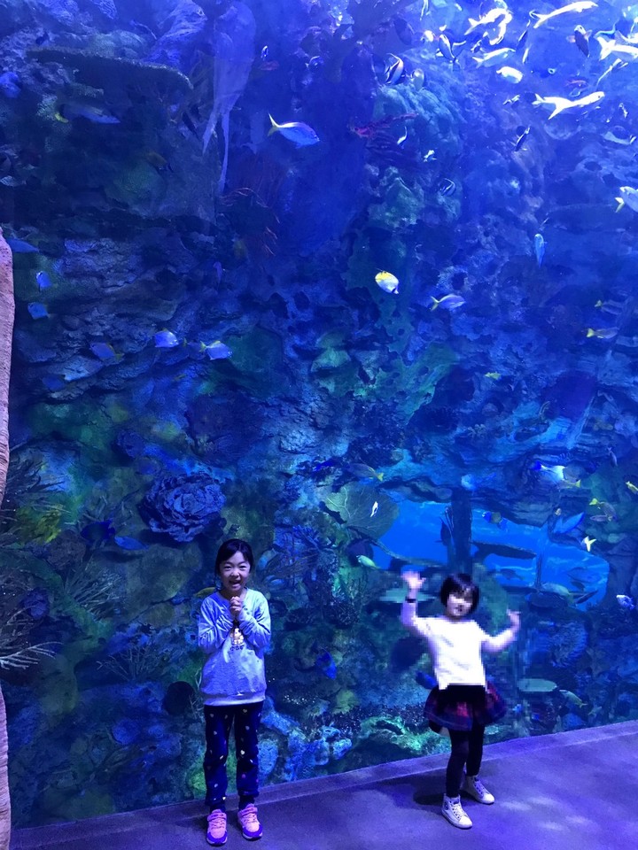 两天一晚珠海长隆旅游攻略,珠海长隆旅行一日游需求准备什么