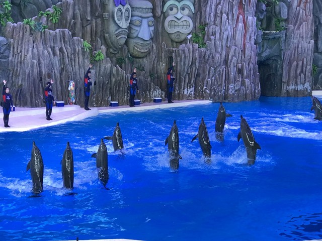 两天一晚珠海长隆旅游攻略,珠海长隆旅行一日游需求准备什么