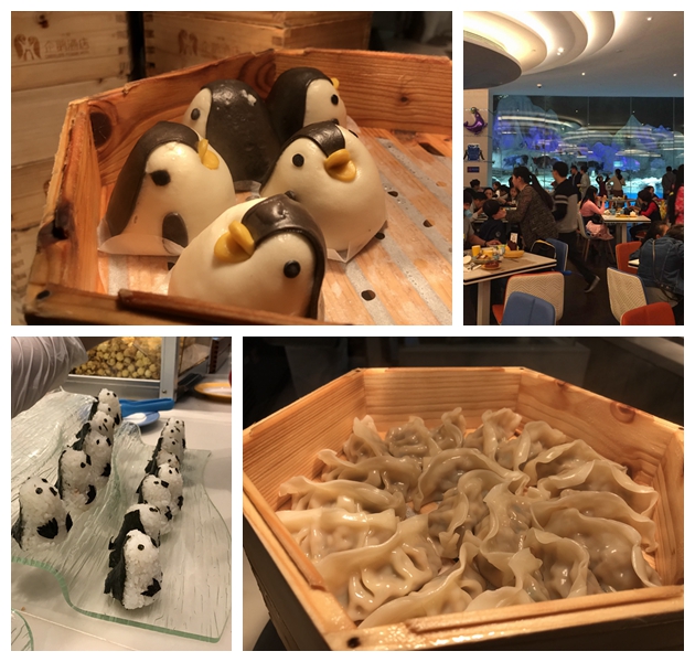两天一晚珠海长隆旅游攻略,珠海长隆旅行一日游需求准备什么