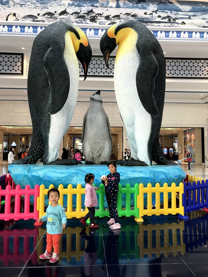 两天一晚珠海长隆旅游攻略,珠海长隆旅行一日游需求准备什么