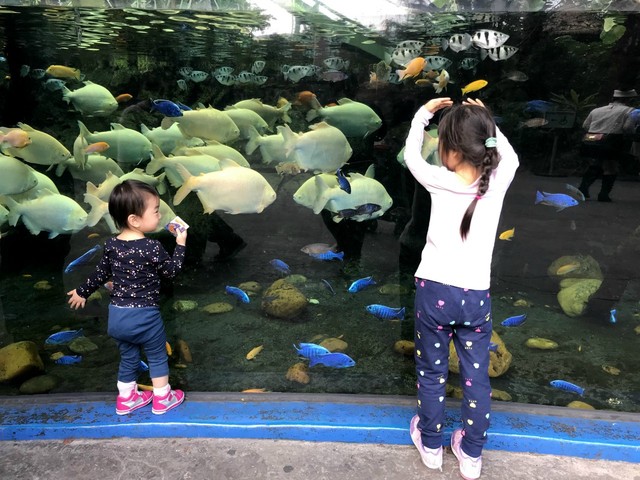 两天一晚珠海长隆旅游攻略,珠海长隆旅行一日游需求准备什么