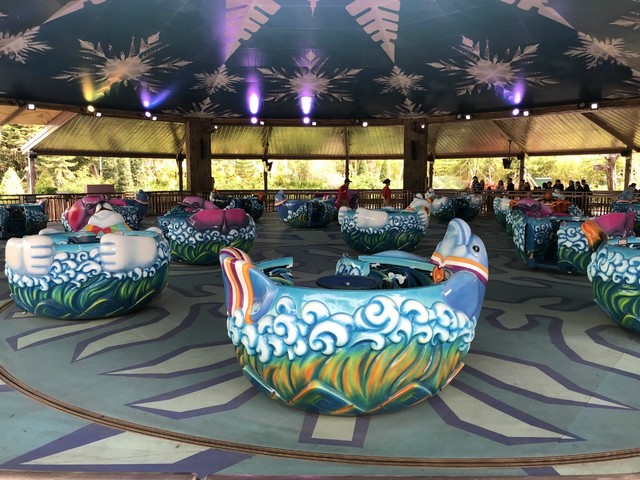 两天一晚珠海长隆旅游攻略,珠海长隆旅行一日游需求准备什么