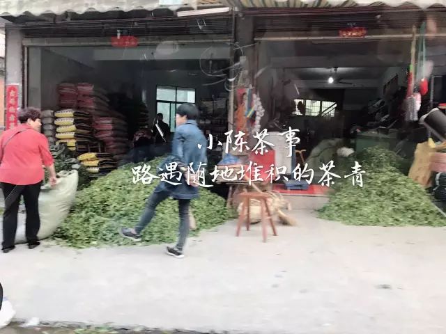 六种茶叶入门方法,茶叶叶底的秘密