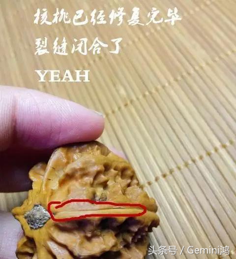 核桃裂了怎么办,核桃裂了胶水修复