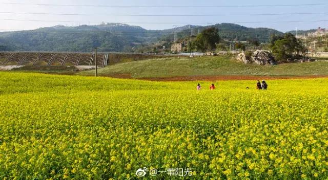 厦门大降温最新消息,厦门升温时间表