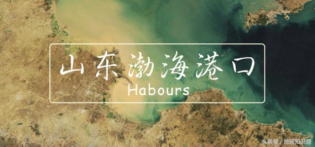 渤海湾港口整合方案,山东港口整合青岛港烟台港等方案