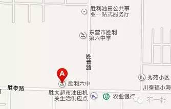 胜利花苑中学怎么样,胜利花苑开始建了吗
