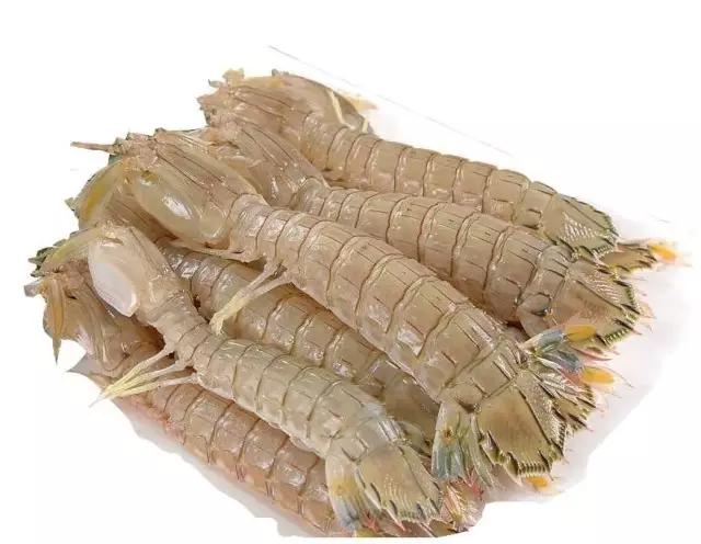 皮皮虾颜色变异,活皮皮虾蒸完以后变绿了怎么回事