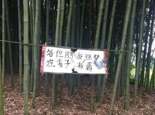 这张图，据说只有四川话专业20级才能秒懂！你来试试？