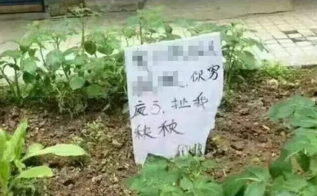这张图，据说只有四川话专业20级才能秒懂！你来试试？
