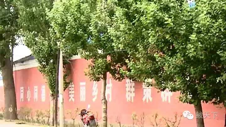美丽乡村新建设视频,美丽乡村建设坑塘篇