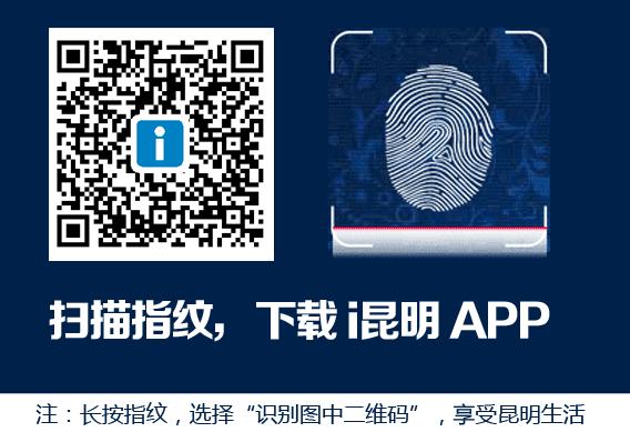 昆明欧洲杯比赛,昆明欧洲杯决赛