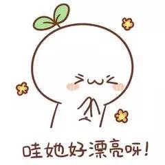 女票的那些谨慎机，单身狗自备狗粮