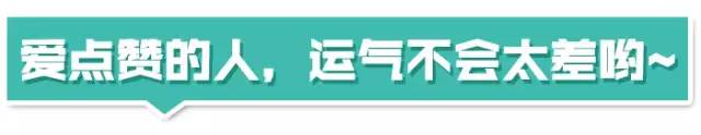 汽车撞人后全责怎么处理完全攻略,开车撞人后正确处理方法